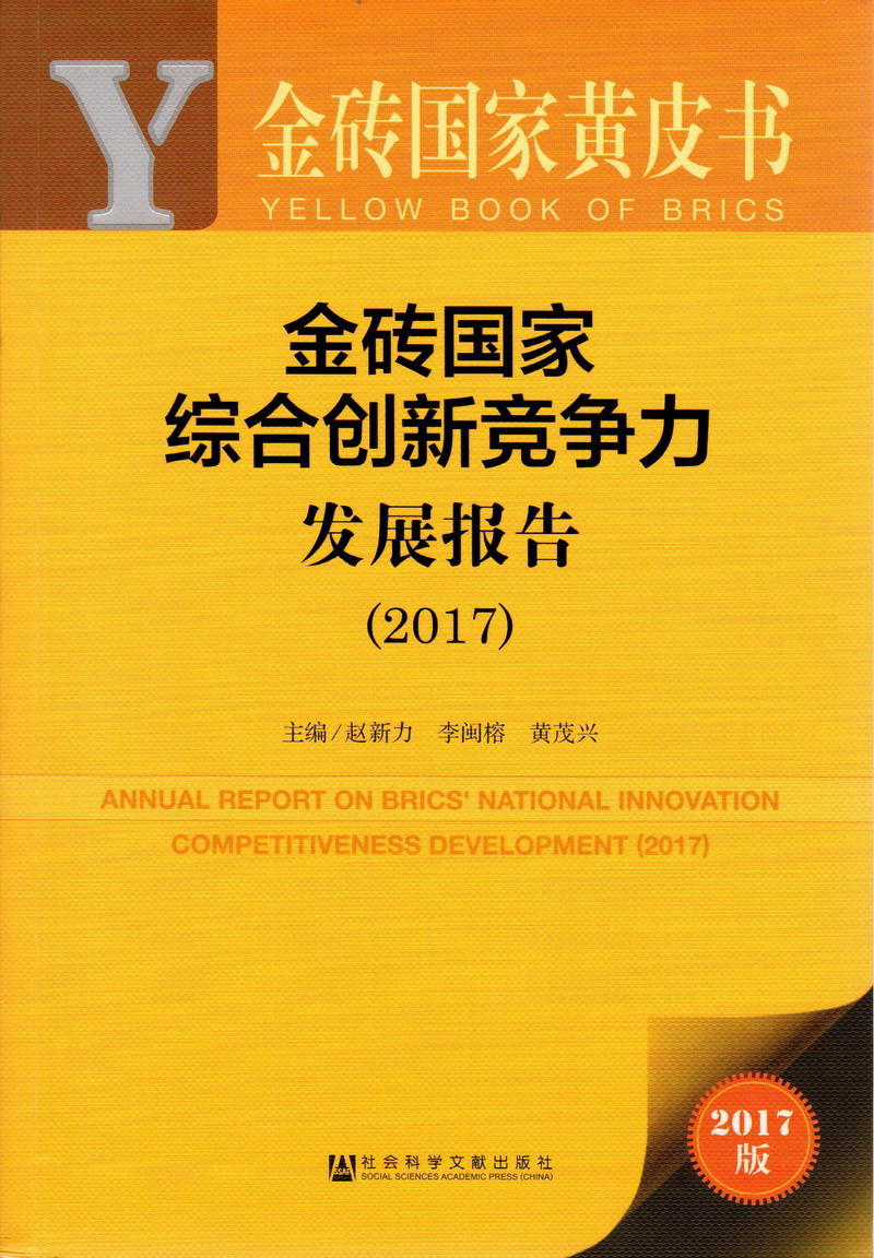 拉着马尾操骚逼视频金砖国家综合创新竞争力发展报告（2017）